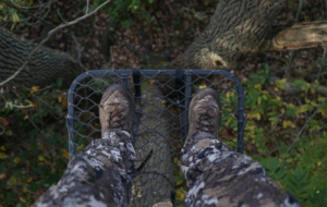 tree stand accidents