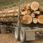 Logging Truck Accidents in Clarksburg
