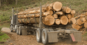 Logging Truck Accidents in Clarksburg