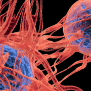 Misdiagnosed Cancer in Clarksburg_ The Devastating Impact of Delayed Treatment