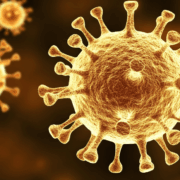 Hospital-Acquired Infections in Wheeling